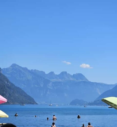 Senior Softwareentwickler