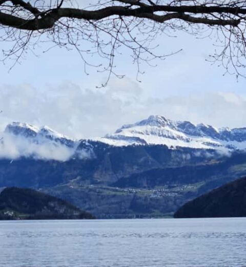 Senior Softwareentwickler